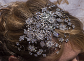 Lisa Haircomb